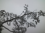 2020-02-17 북한산 향로봉