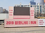 2019 평화나비 -..