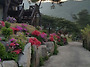 강원도 홍천 아모..