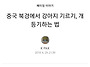 중국 북경에서 강아지 기르..