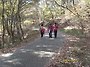 서울서교회 2010년 태신자..