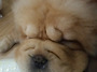 올만에 망고요,