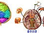 뇌와 신경과 선도의술