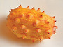 키와노(Kiwano, 뿔참외) ..