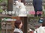 53세 김승수, 39세 아나운..