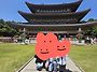 새홍연 제주모임 후기