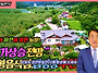 1237 [포항 토지..