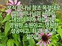 2026년 뛰는 해