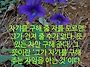 2026년 뛰는 해