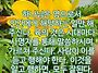 2026년 뛰는 해