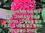 2026년 뛰는 해