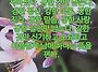 2026년 뛰는 해