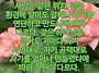 2026년 뛰는 해