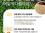 26년 국산 햇참깨 수확기념..