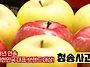 청송 사과 품종