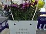 애 때문에 행복한.