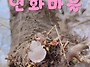 2023년도 1분기 소식지