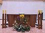 연중 제13주일(교황주일)