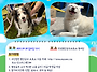 9월 28일 행복한 가을 소..