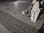 설탕임보일기