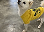 4/20, 4/26 첫 일반봉사&..