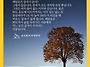 8/6(목) 晩齡(만령, 늦은..