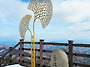 제210차 안산고인돌산악회..