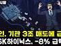 마감시황] 11/14 양시장 ..