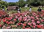 서울둘레길 (13코스) 26..