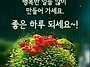 미희님 과사랑님들