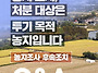 농지 조사, 처분 대상