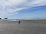 독산 대첩...