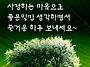 &#127826;행..