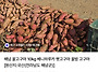 해남 꿀고구마 10kg 18..