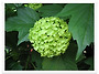 {스크랩} 생활 명상