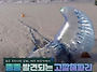 “아이들 만지면 큰일” ..