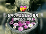 2026년 7월 9일(목) ♡♡..