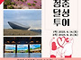 달성군, 달성에서 님찾기 ..