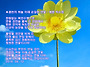 염천의 하늘 아래 순결한 ..