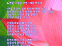 연꽃 고결한 향연