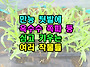 만능 텃밭에 옥수..