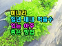 미나리 일년 내내..
