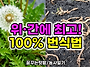 위장 질환 개선에 탁월한 ..