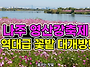 역대급 꽃밭 대개방! 나주..
