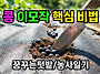 몸에 좋은 콩 1년에 2모작..