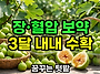 꿀맛 장 혈압에 최고 3달..
