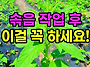튼실한 참깨 키우기 위한 ..