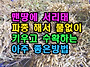 맨땅에 서리태 파종 해서 ..