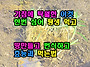 기침에 탁월한 이것 한번 ..