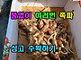 풀없이 여러번 쪽파 심고 ..